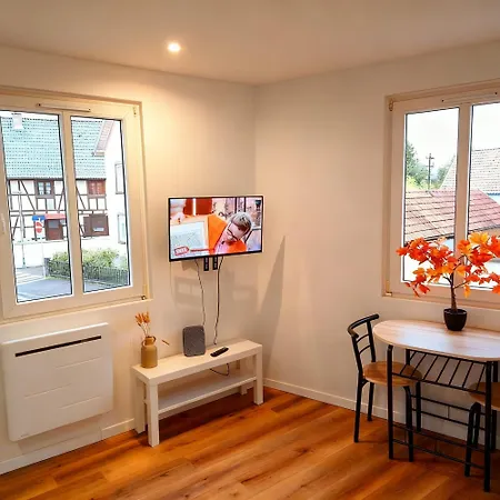 Proche Zenith & Strasbourg Centre Apartment *