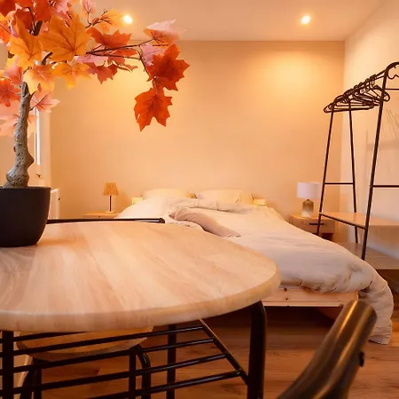 Proche Zenith & Strasbourg Centre Apartment *