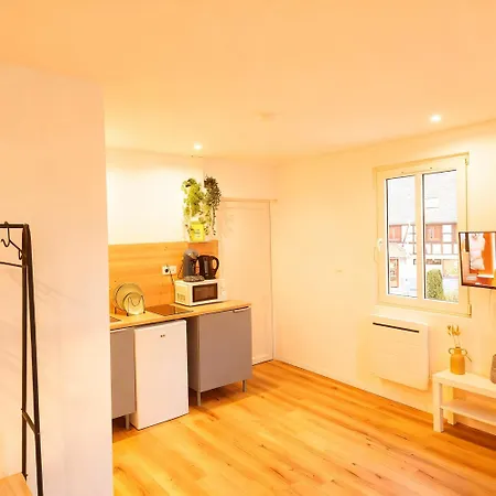 Proche Zenith & Strasbourg Centre Apartment Eckbolsheim