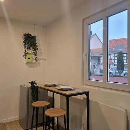 Appartamento Proche Zénith&strasbourg Centre *