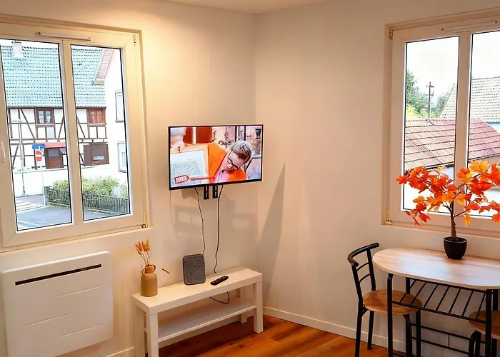 Proche Zenith & Strasbourg Centre Apartment *