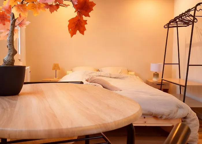 Proche Zenith & Strasbourg Centre Apartment *