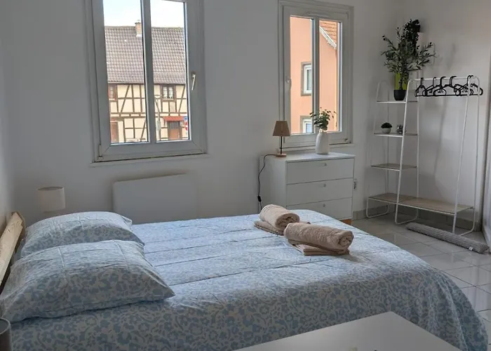 Apartment Proche Zenith & Strasbourg Centre *