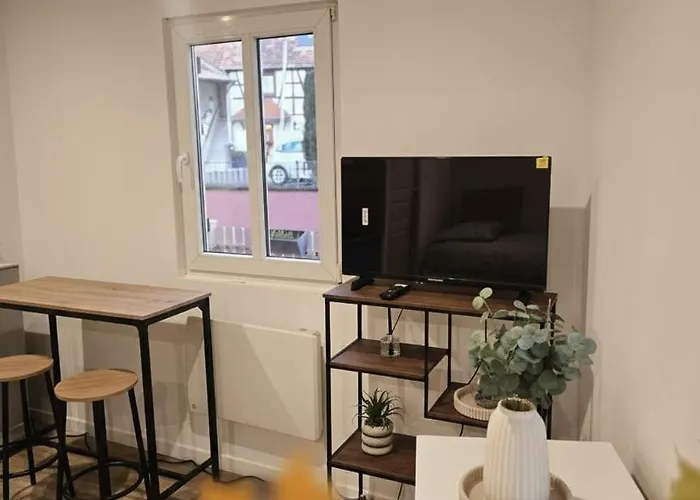 Proche Zenith & Strasbourg Centre *