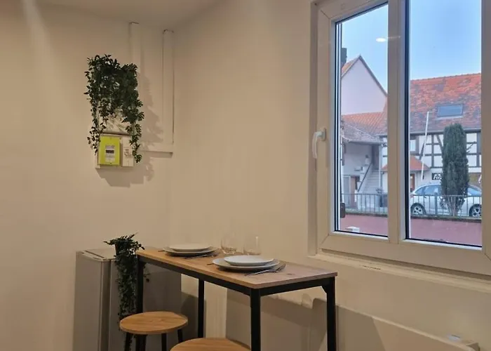 Apartment Proche Zenith & Strasbourg Centre *